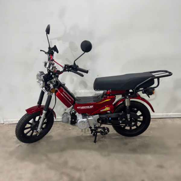bicimoto 49cc 3 Bicimoto 49cc